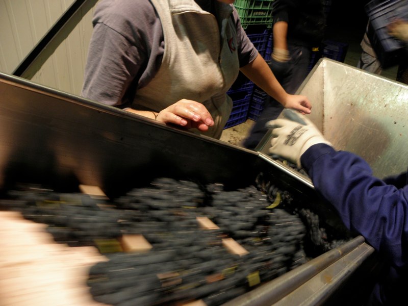 Bodegas Antonio Alcubilla