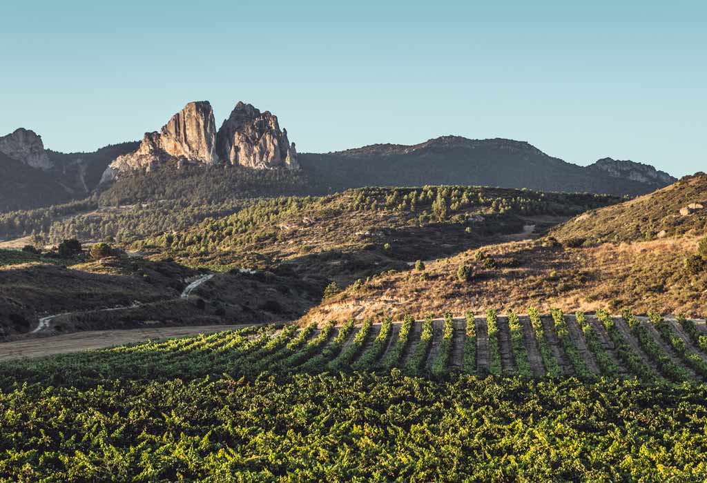 Bodega Alegre Valganon lugares