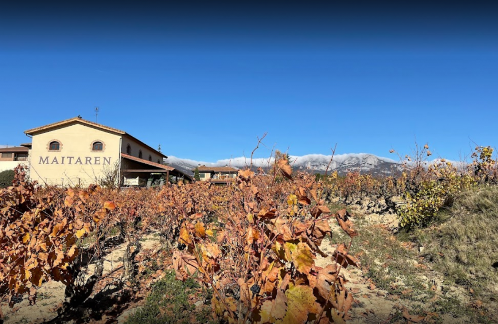 Bodega Rodolfo garcia martelo