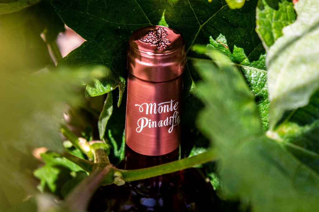 Bodega San Roque de la Encina vino