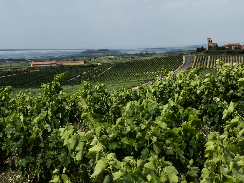 Bodegas Basilio Izquierdo