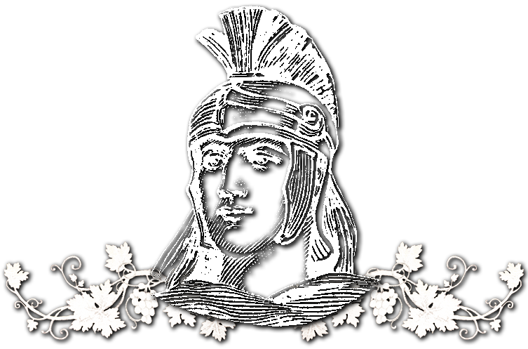Bodegas Cardema Logo