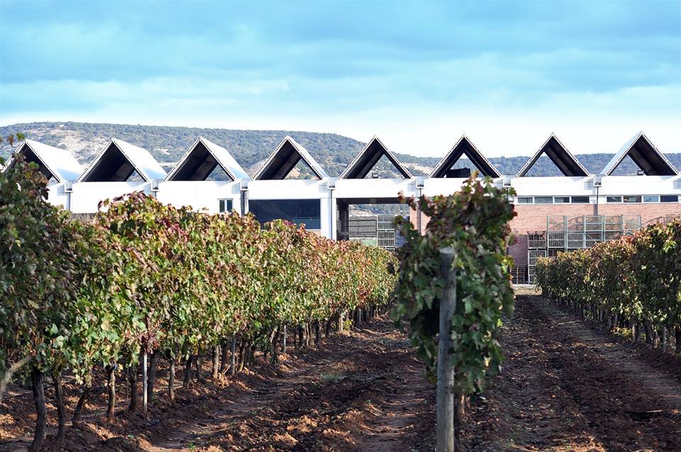Bodegas Lleiroso fachada vina