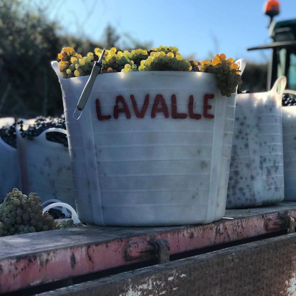 Bodegas lavalle