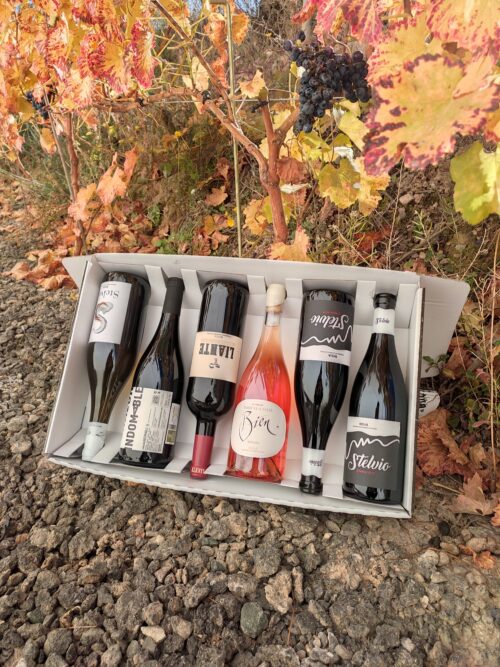 Bodegas mazuela vinos
