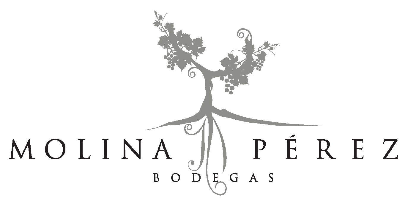 Bodegas molina perez Logo