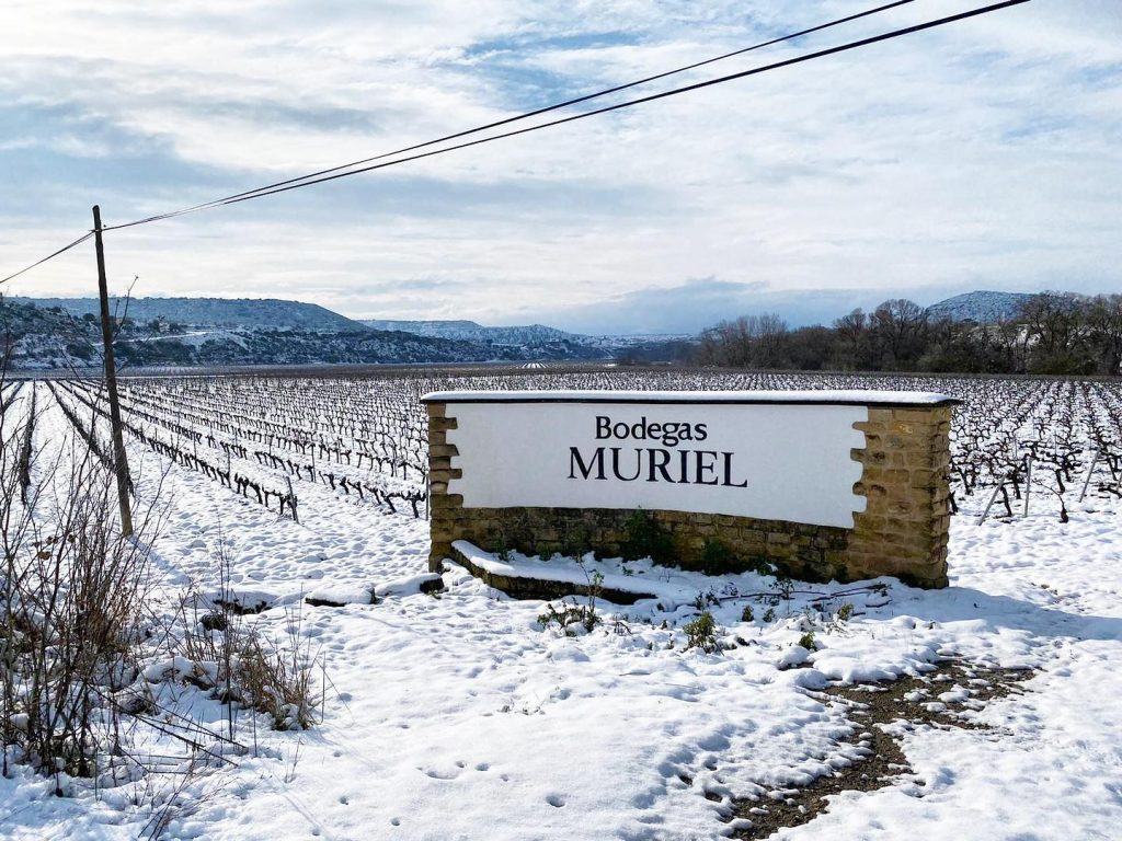Bodegas muriel vinedo invierno