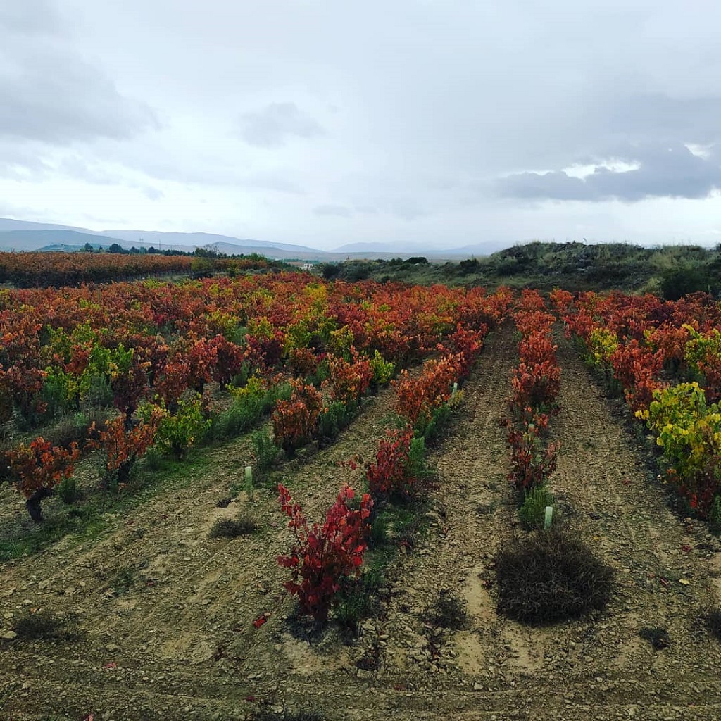 Clos Ibai Viticultores