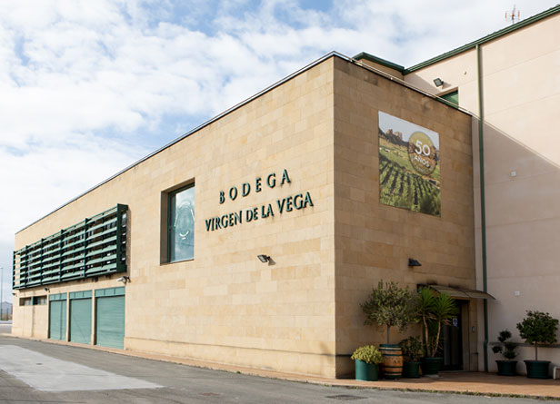 Bodegas Virgen De La Vega