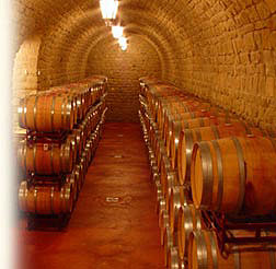 Bodega Torre San Millán