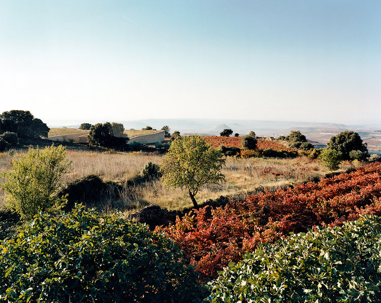 Bodega Lanzaga