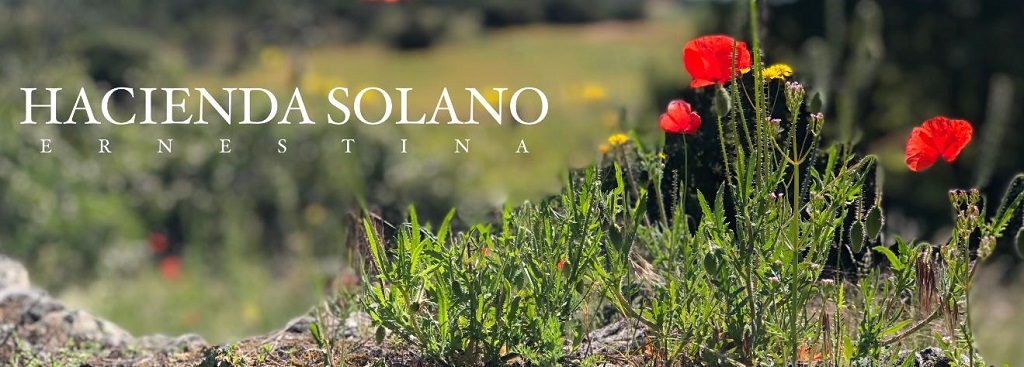 Hacienda Solano