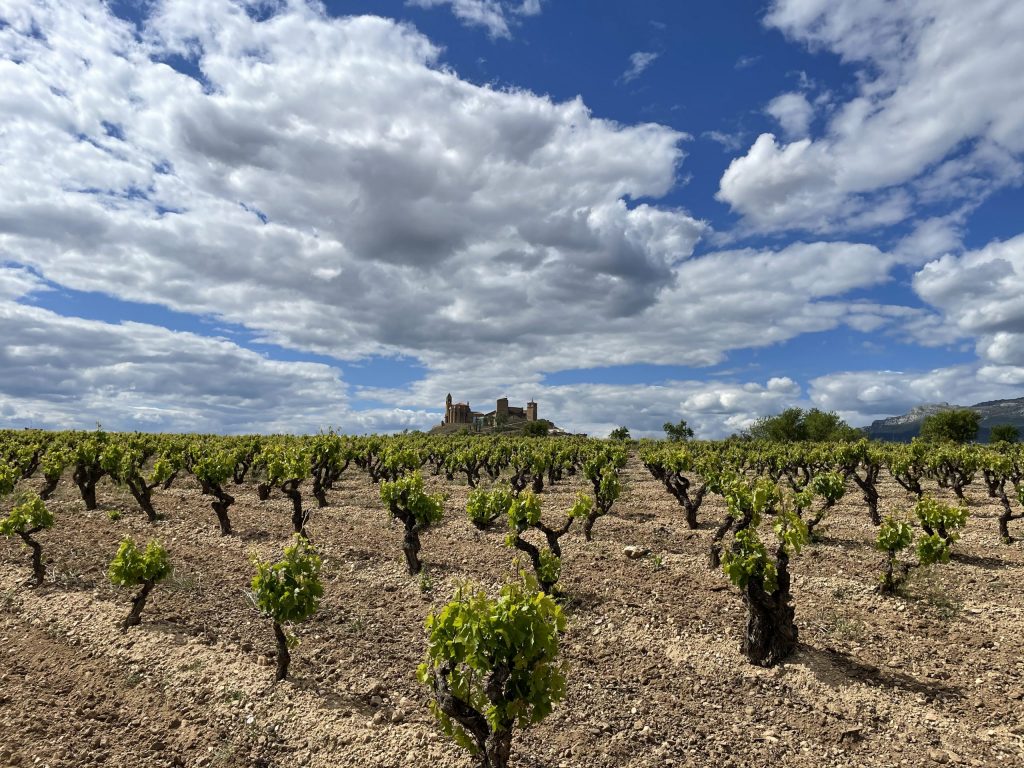 Bodegas Lagar de Zabala