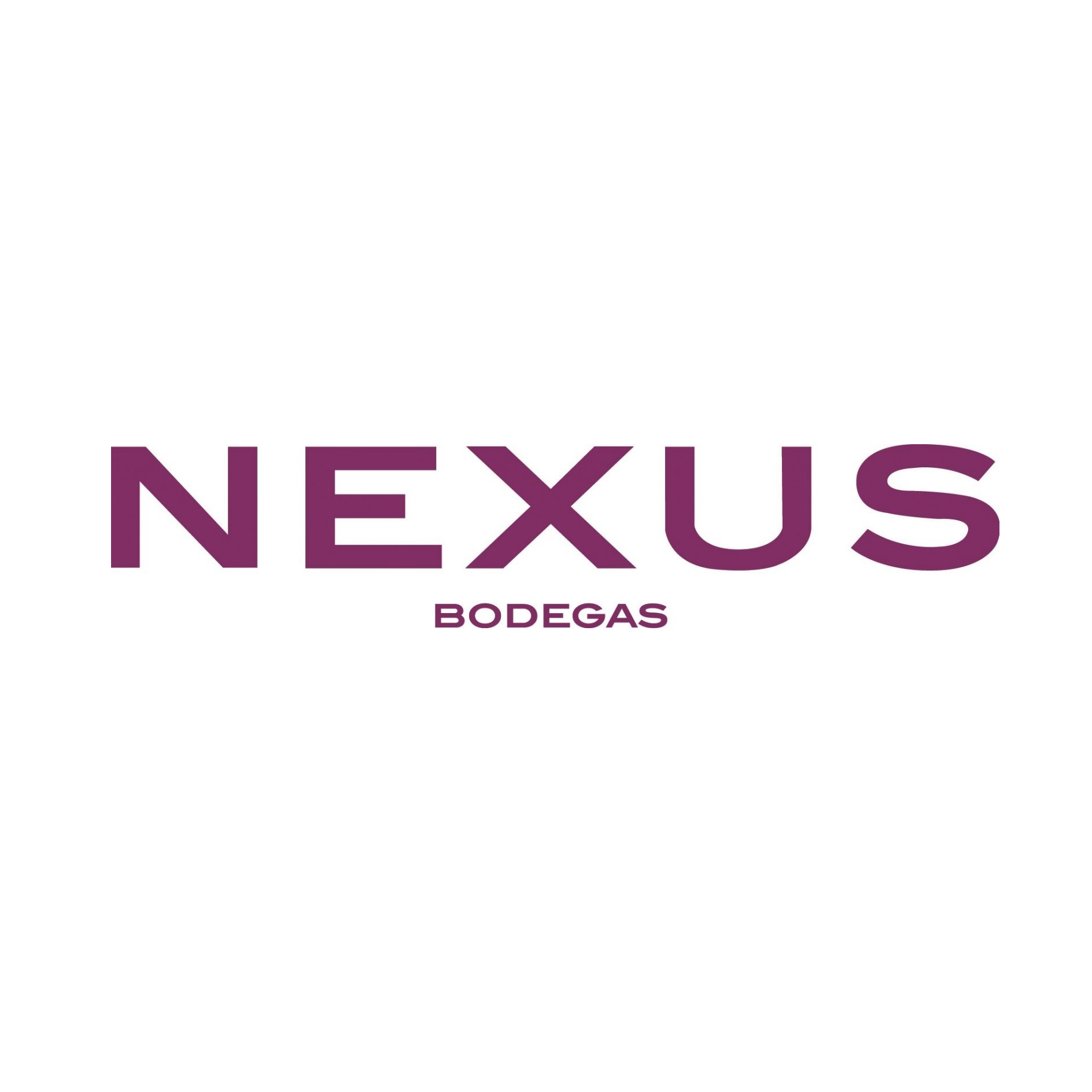 Logo Nexus Bodegas