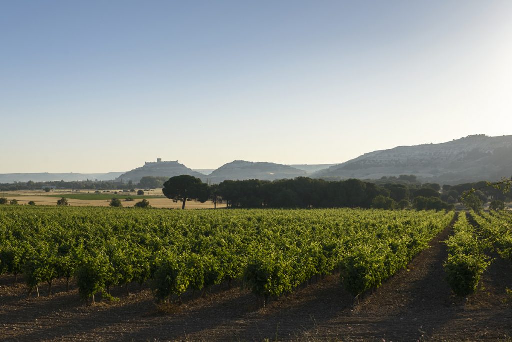 Ribera Fompedraza Seleccion de torres