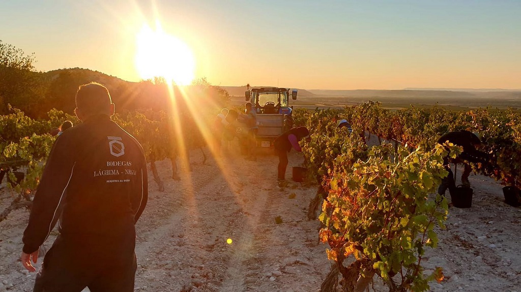 Bodegas Santos Arranz