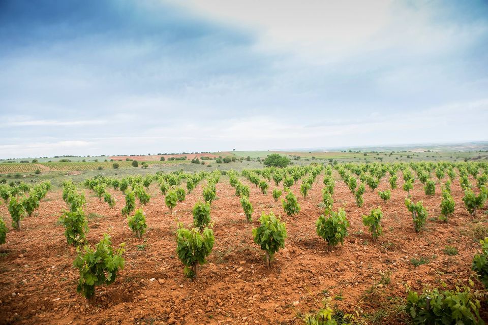 Altos del Enebro