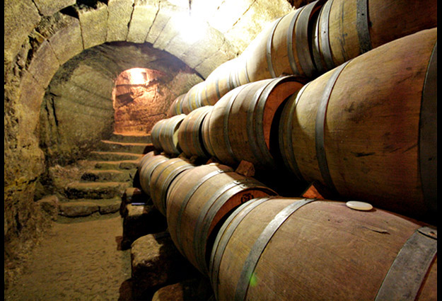 bodega gonzalez teso crianza