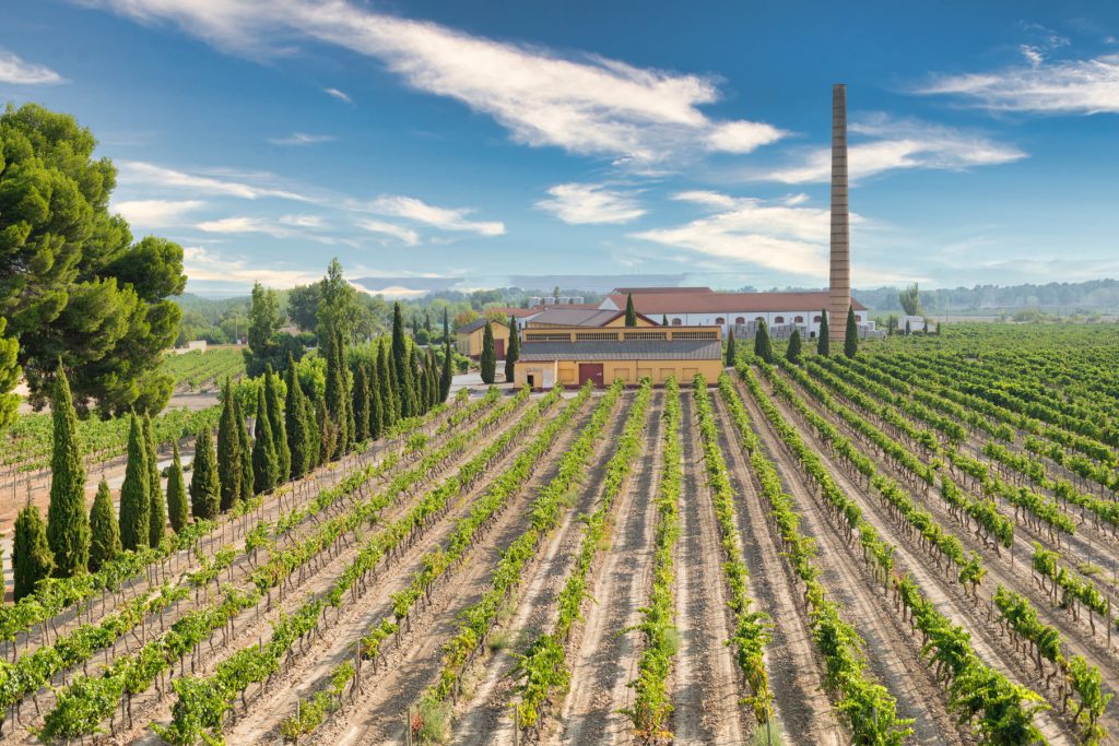 Bodegas Isidro Milagro