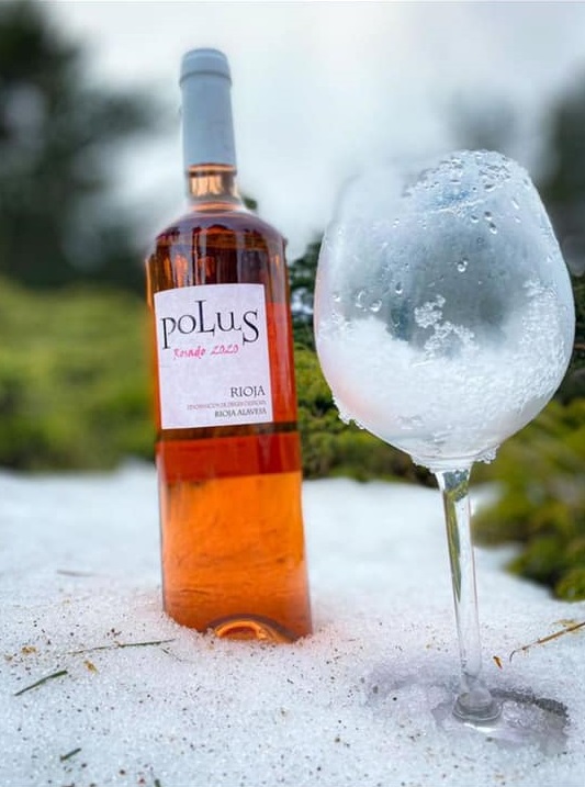 Bodegas Loli Casado