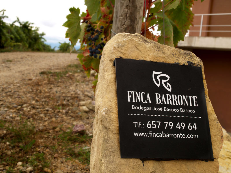 bodegas Jose Basoco Basoco finca barronte