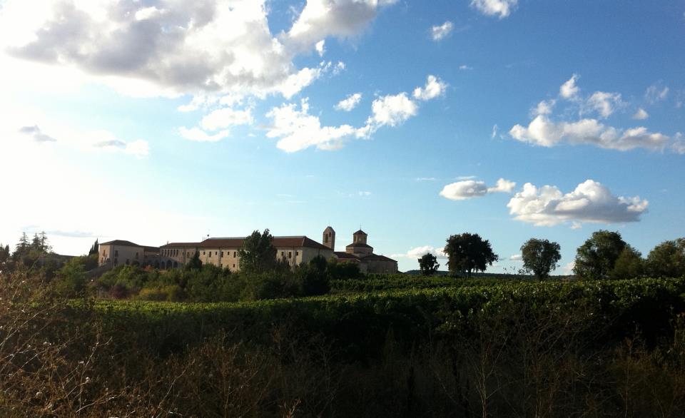 Bodegas Baden Numen