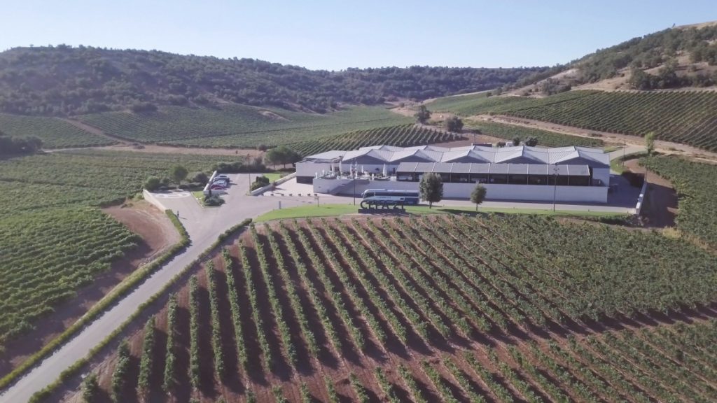 Bodegas Cepa 21