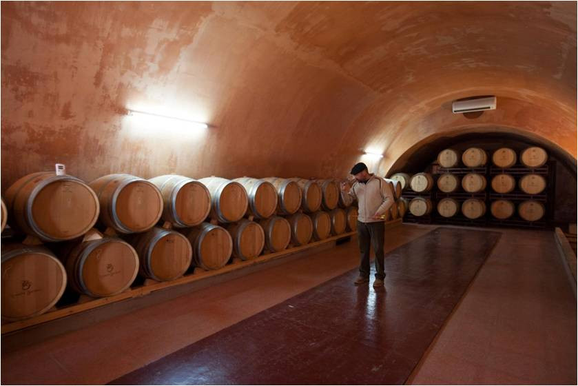 Bodegas Cruz de Alba