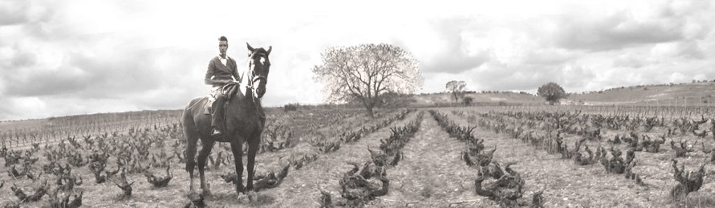 Bodegas Epifanio Rivera