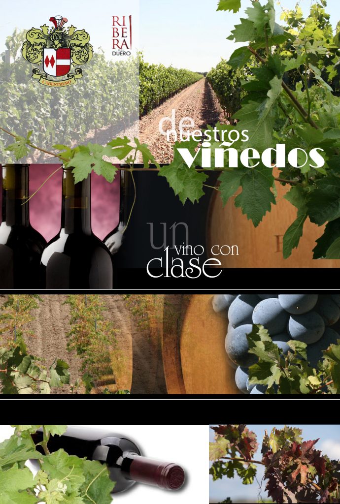 Bodegas José Cabestrero