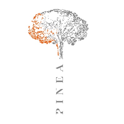 Bodegas Pinea del Duero Logo