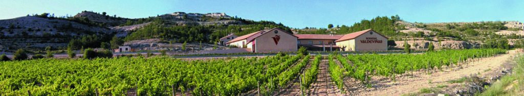 Bodegas Valdeviñas