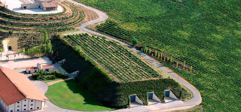 Bodegas Valduero