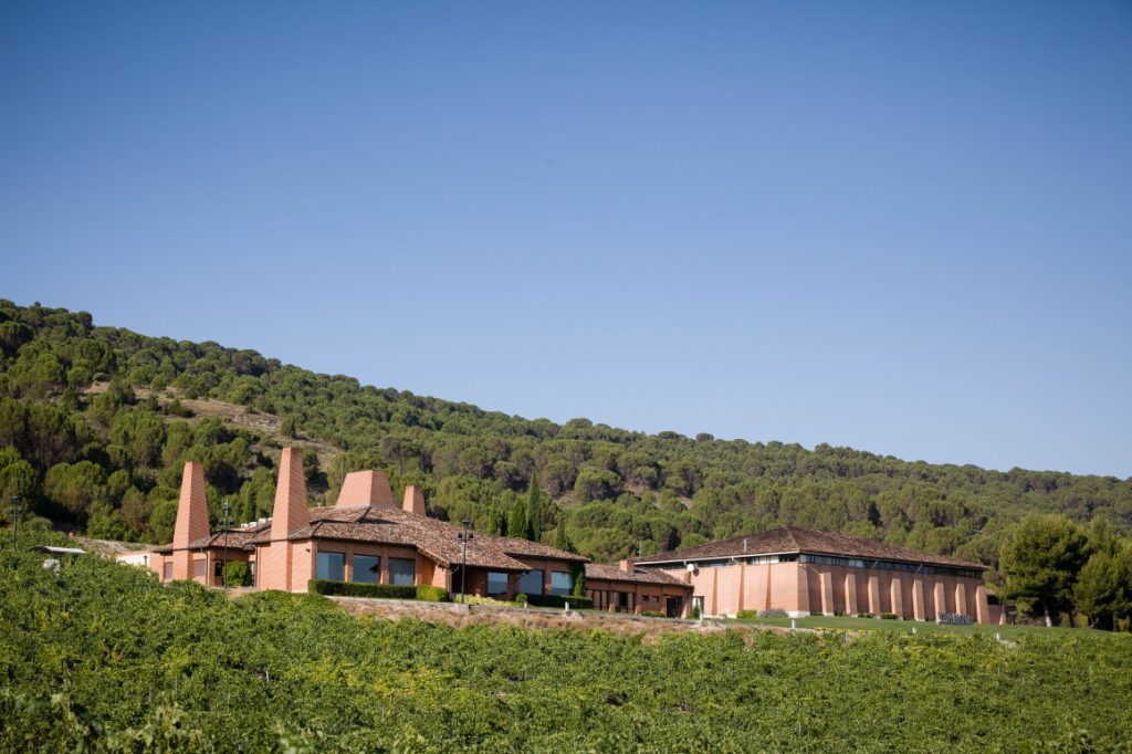 Bodegas Viña Mayor