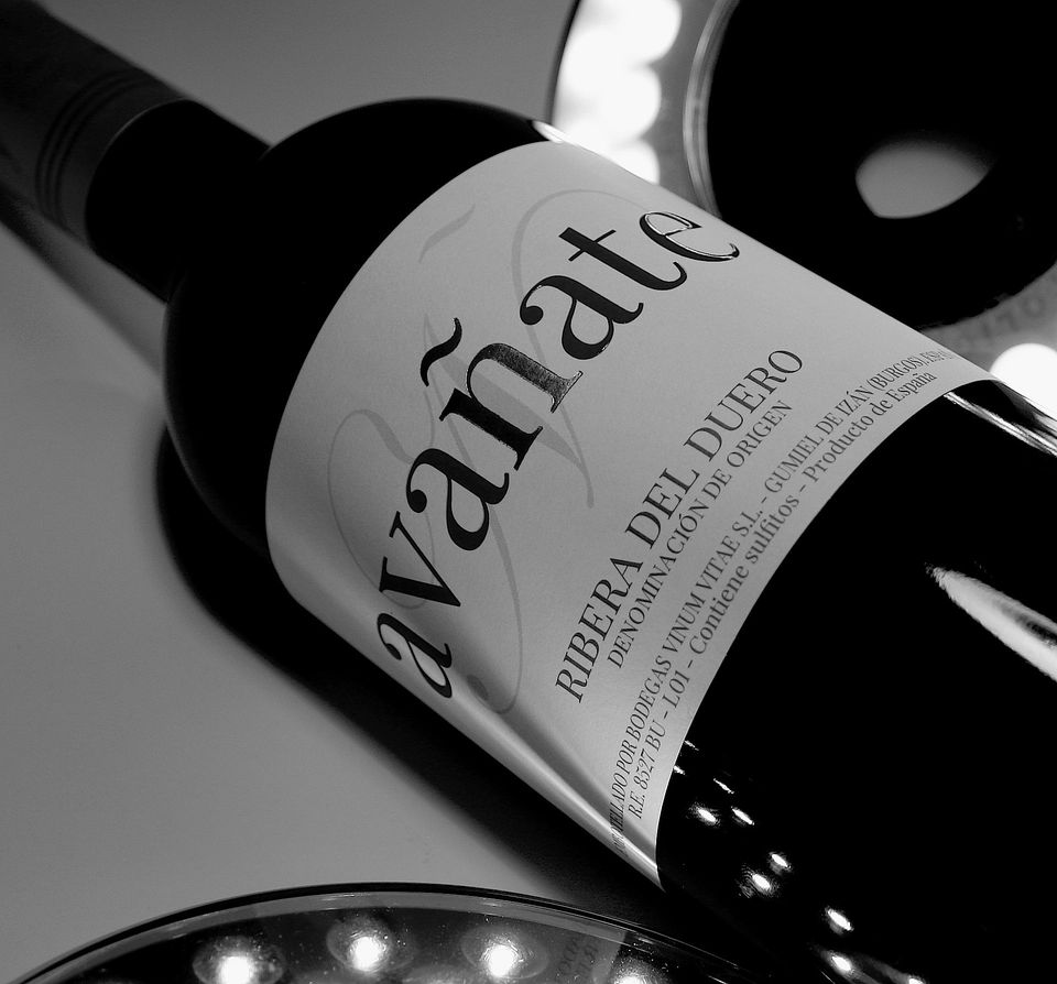 Bodegas Vinum Vitae