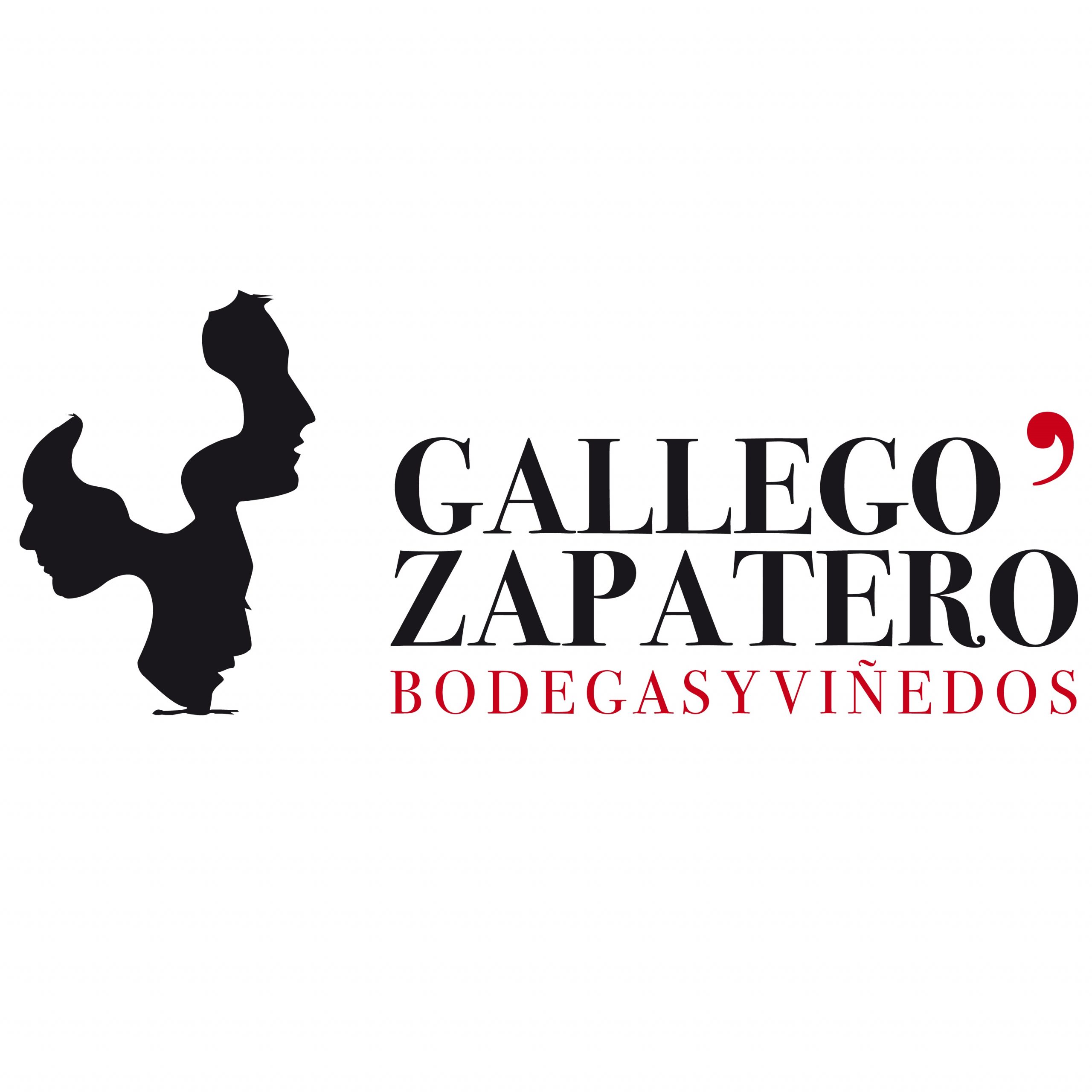 Bodegas y Viñedos Gallego Zapatero Logo