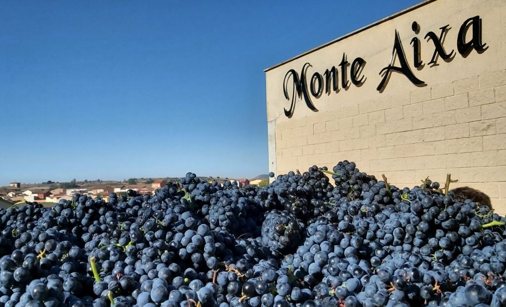 Bodegas Y Viñedos Monte Aixa