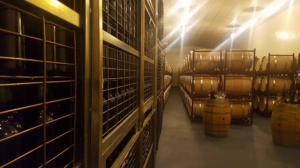 Bodegas y Viñedos Rauda