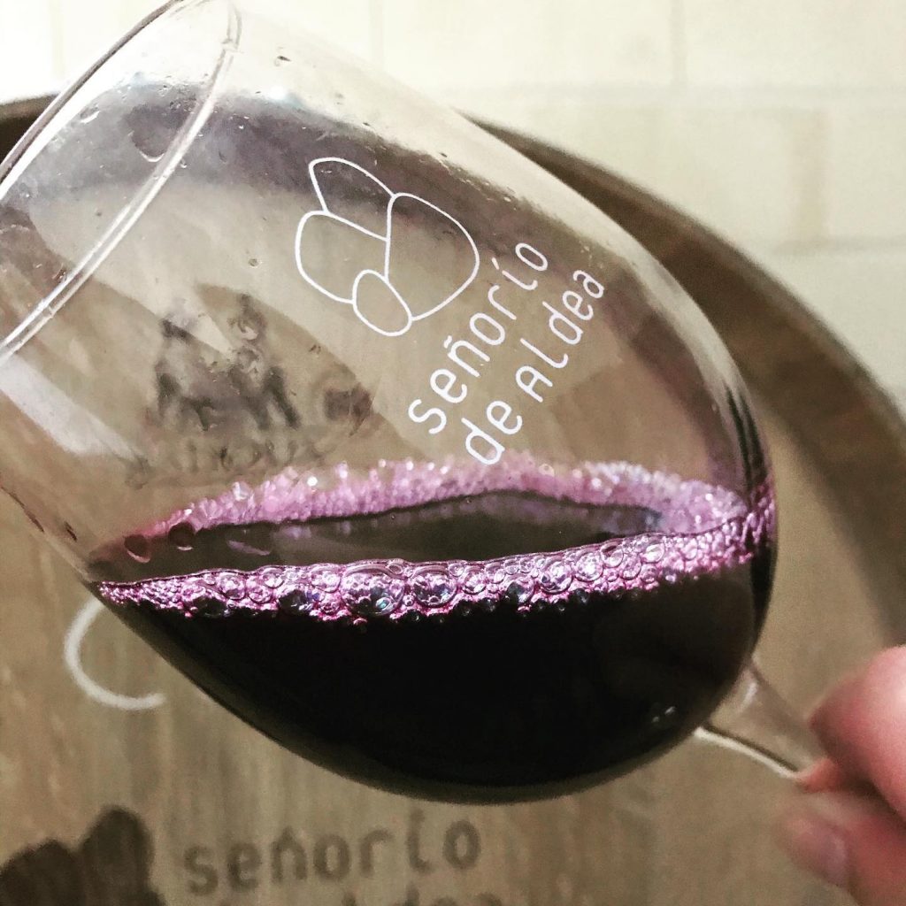 Bodegas y Viñedos Señorío de Aldea
