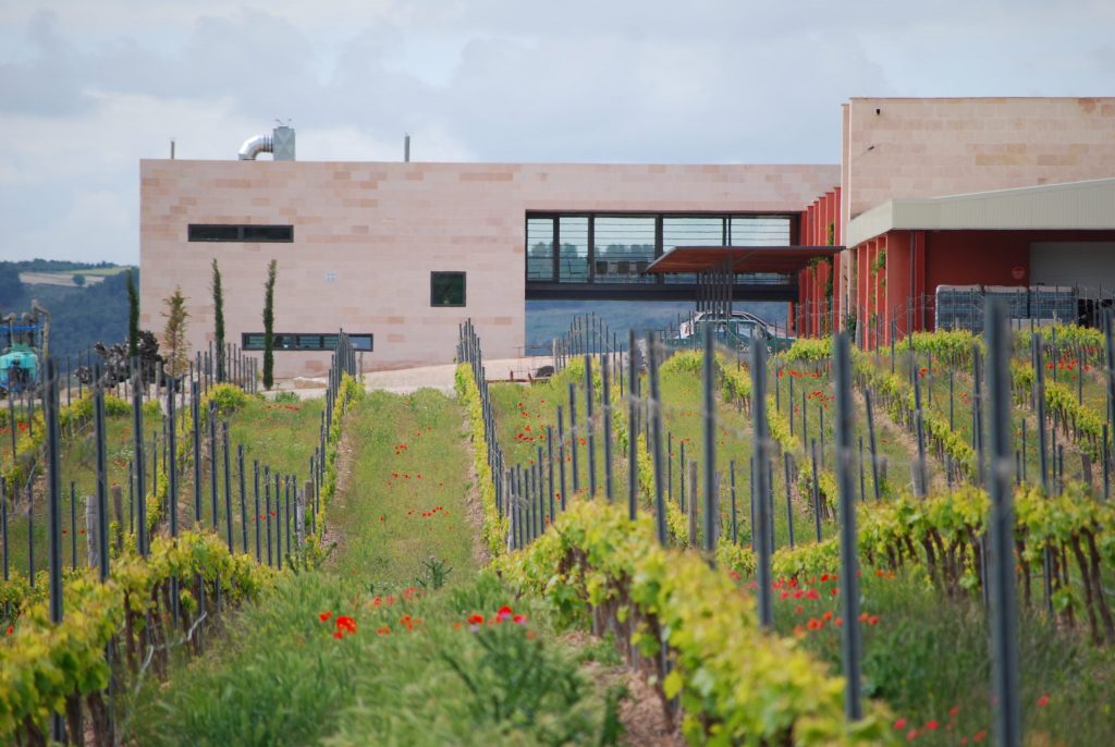 Comenge Bodegas y Viñedos
