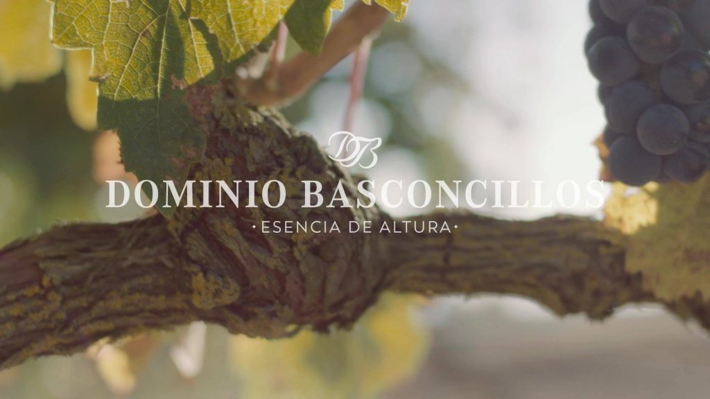 Dominio Basconcillos