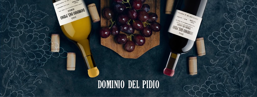 Dominio Del Pidio