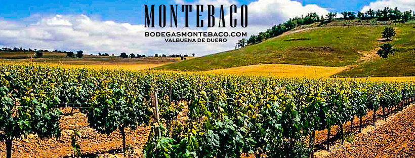 Montebaco