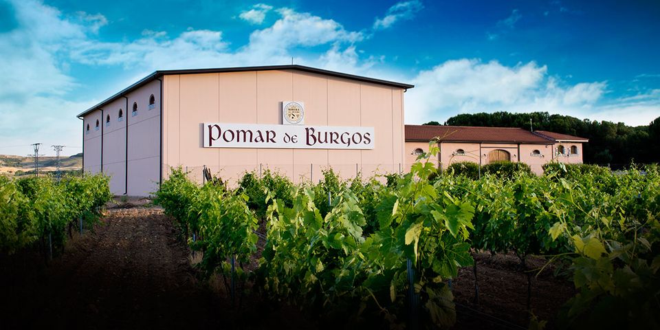 Pomar Viñedos