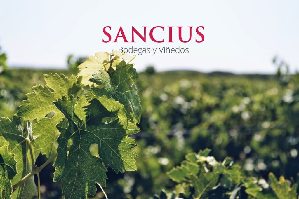 Sancius Bodegas y Viñedos