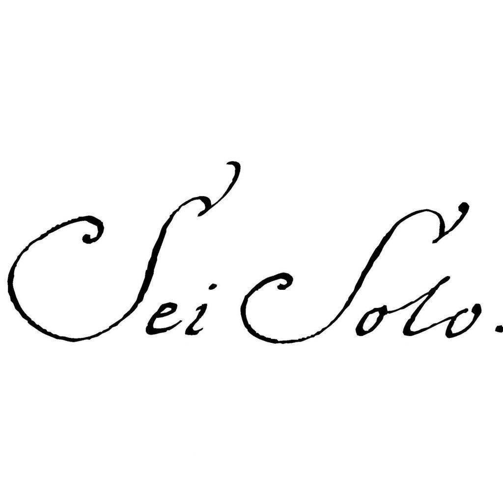 Sei Solo Bodegas y Viñedos Logo