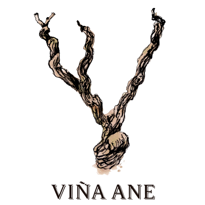 vinaane logo bodega del monge garbati