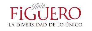 Viñedos y Bodegas García Figuero Logo