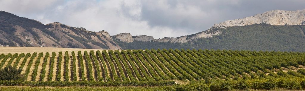 Bodegas Lar de Paula