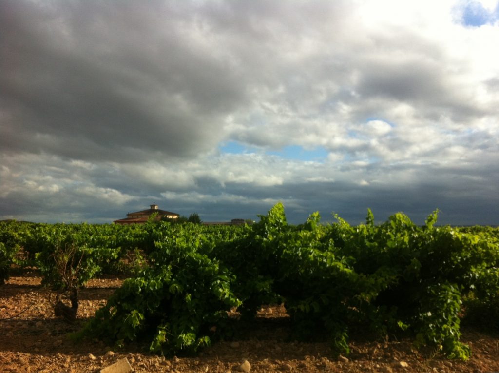 Bodegas ciceron